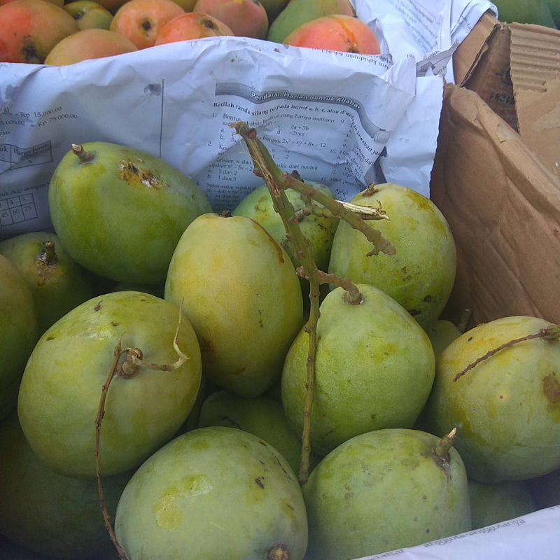 Jual Mangga Cengkir Kriuk Nepung Tua Pohon Pol 1 Kg Shopee Indonesia 