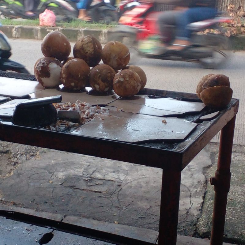 

KELAPA DAN SANTAN