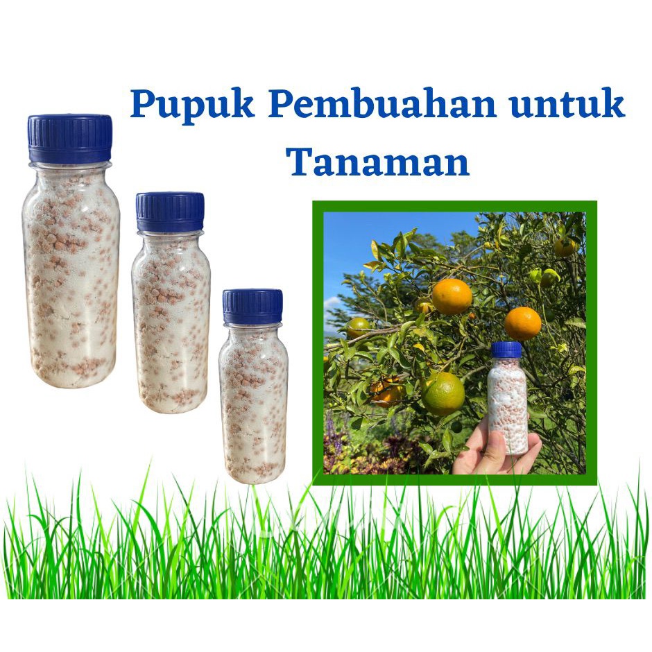 Pupuk Booster Pembuahan dan Pembungaan untuk Semua Jenis Tanaman