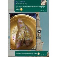 

ikan nila bumbu kuning
