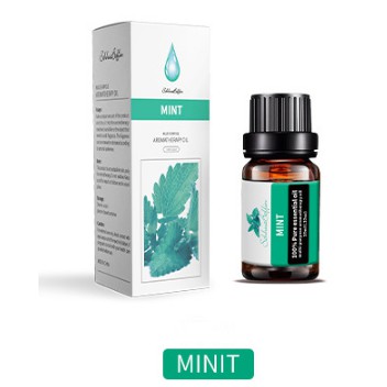 Goojodoq Air Aroma Mini Humidifier / Aromatherapy Purifier Diffuser Memberikan 1 Oil Essential-mint Essential oil