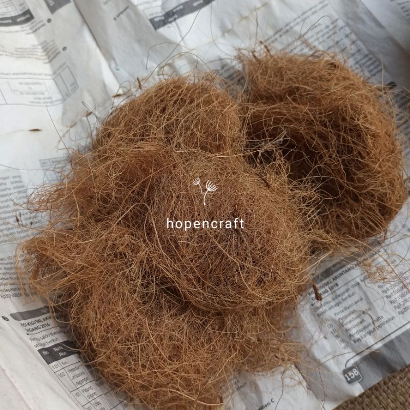 [10g] Sabut Kelapa Kering | Serabut Kelapa Kering | Cocofiber