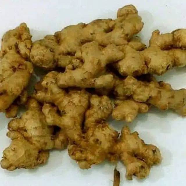 

jahe segar 500 gram
