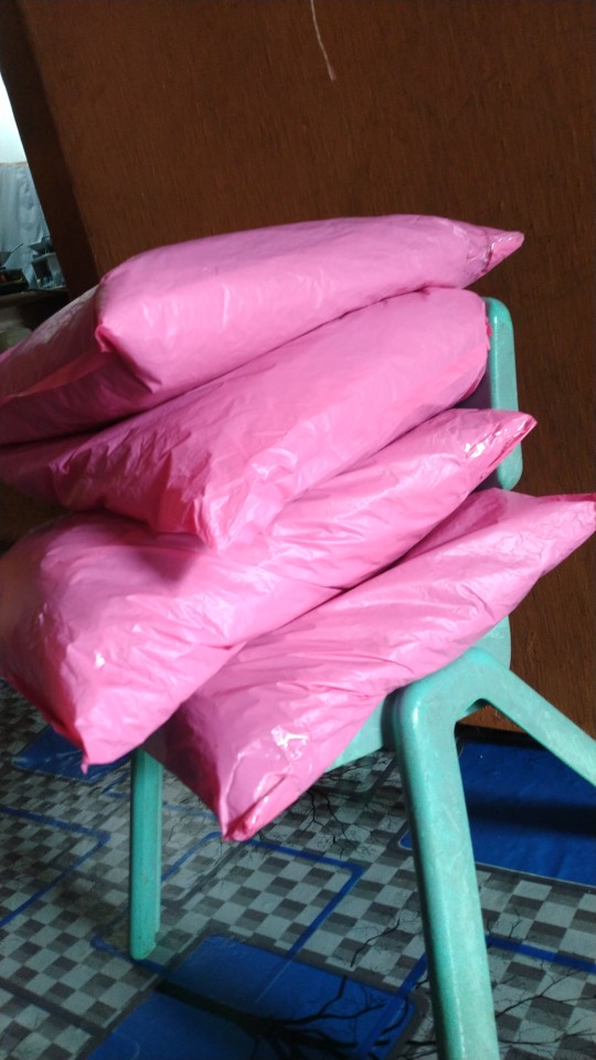 Tanaman Cincau Hijau Perdu/bibit Herbal Cincau Hijau Perdu