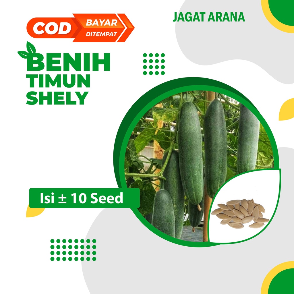 Benih Timun Shely AGROBAS