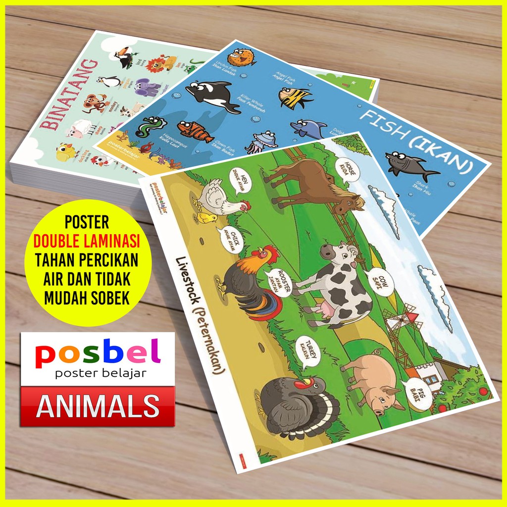 Poster Edukasi Anak Balita Belajar mengenal Nama Gambar Poster Edukasi Anak Balita Belajar mengenal Nama Gambar