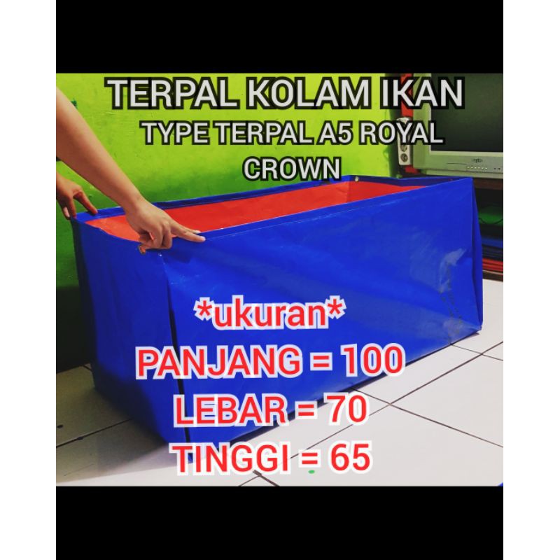 TERPAL KOLAM IKAN 100X70X65 TYPE TERPAL A5 ROYAL CROWN