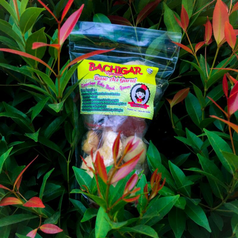 

BASO ACI GARUT/BACHIGAR
