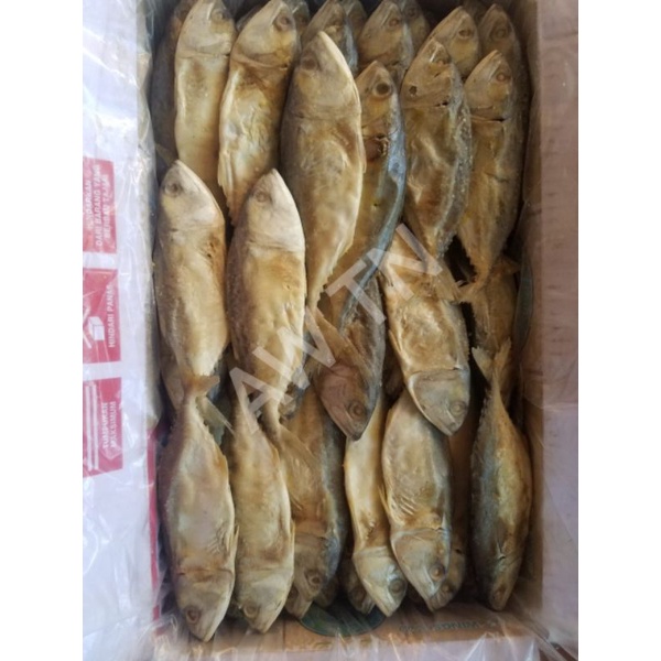 ikan asin kembung Kalimantan / ikan asin / ikan kembung / ikan asin kembung / kembun / kembung asin / kembung asin pontianak / ikan asin pontianak / kembung kalimantan / ikan asin kalimantan