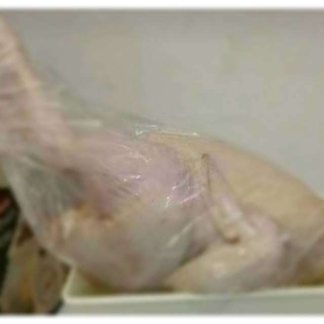 

Ayam Negeri Utuh