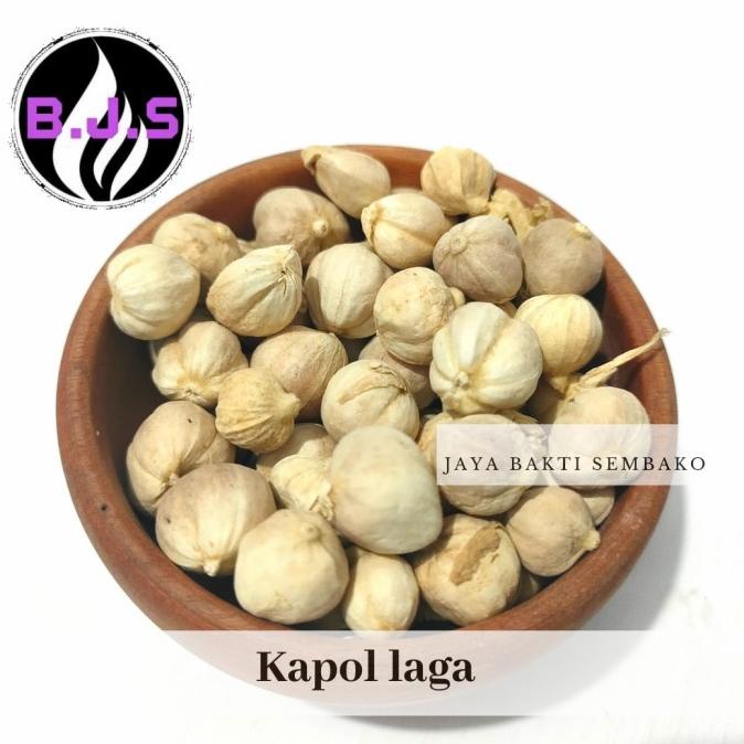

BEST SALES KAPOLAGA 500GR TERBAIK