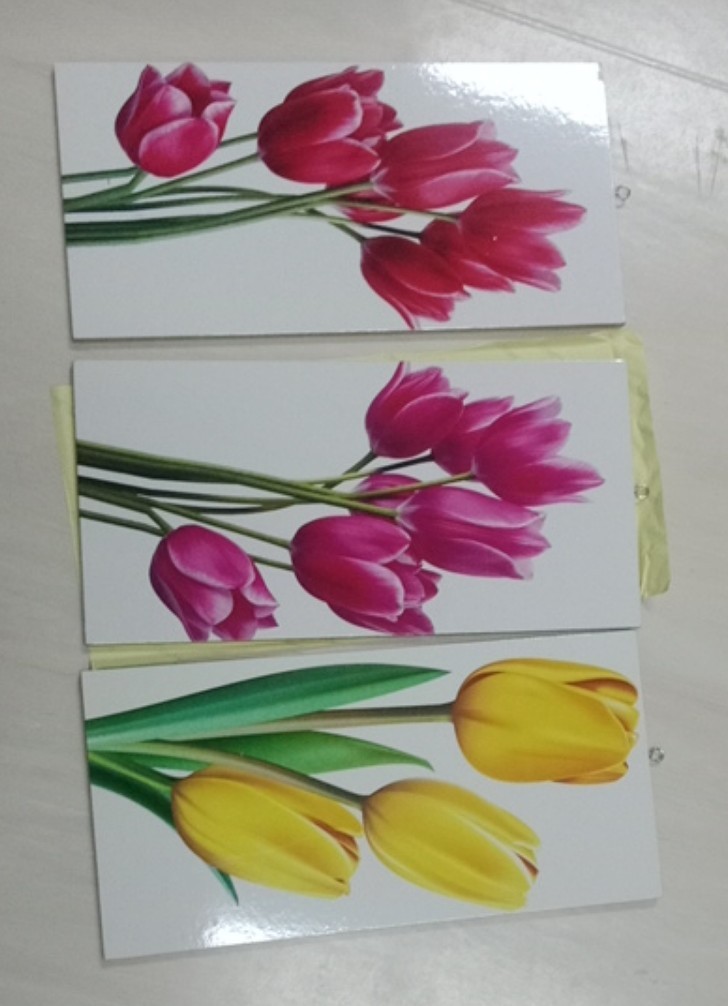 Hiasan Dinding Walldecor Pajangan Dinding Shabby Chic Tulip Wp 11