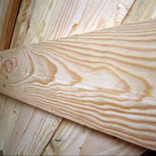  Kayu  pinus  lebar 10cm panjang 60 100 Shopee Indonesia