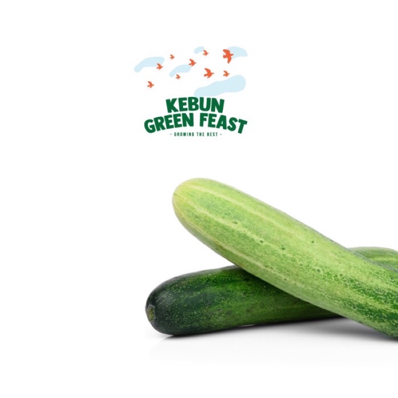 

Timun Lokal - fresh Cucumber