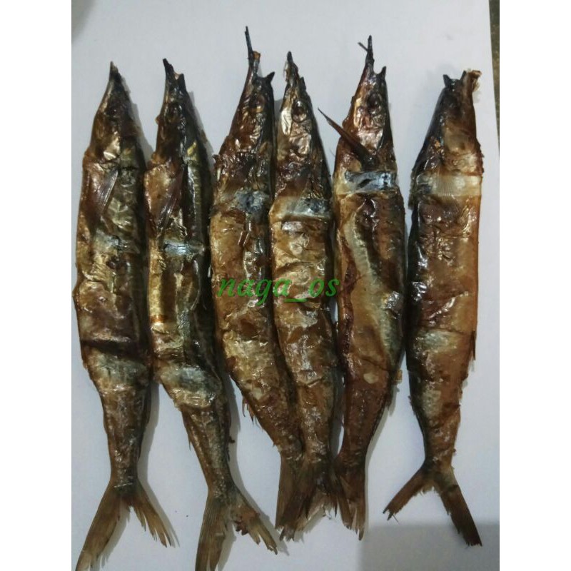 

Ikan Roa Utuh (isi 20 ekor)