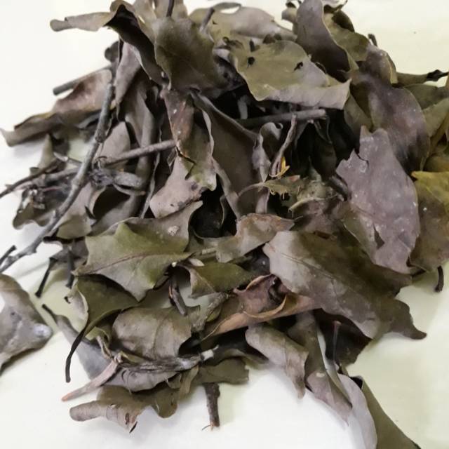 

Daun benalu kering 100gr