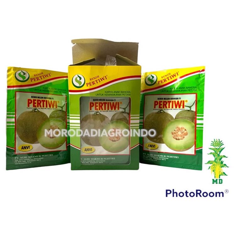Paling Dicari.. Benih/Bibit melon Pertiwi anvi F1 13 gram by pertiwi