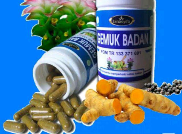 20++ Kumpulan resep obat gemuk tradisional information