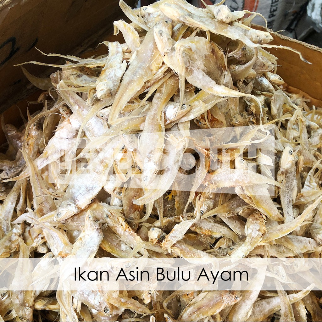 

Ikan Asin Bulu Ayam 250 gram