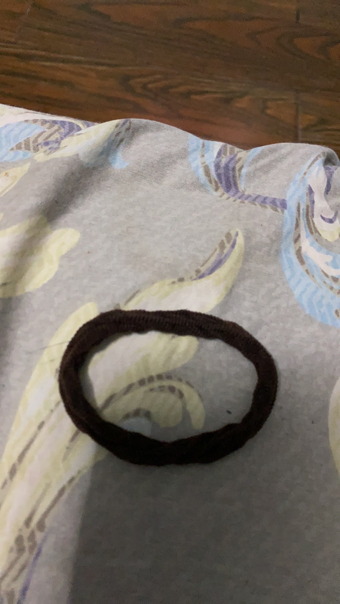 Tilandsia Atau Jenggot Musa Atau Jenggot Dewa 40 Cm