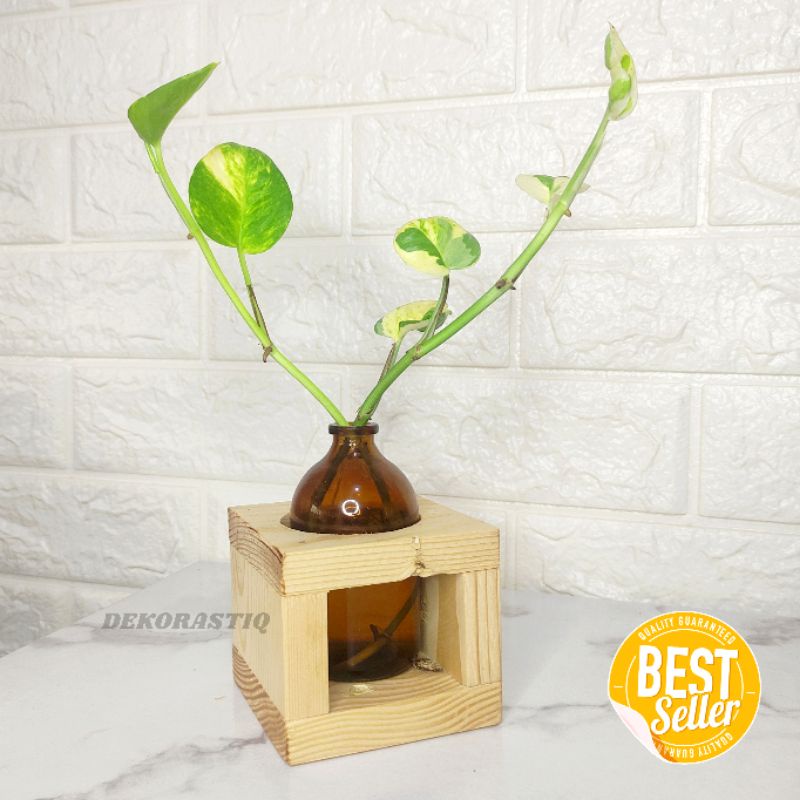 1 Set Hiasan Meja kamar Aesthetic / Pajangan Dinding Dekorasi Rumah / Vas Pot Bunga Hidroponik Planter kayu Estetik