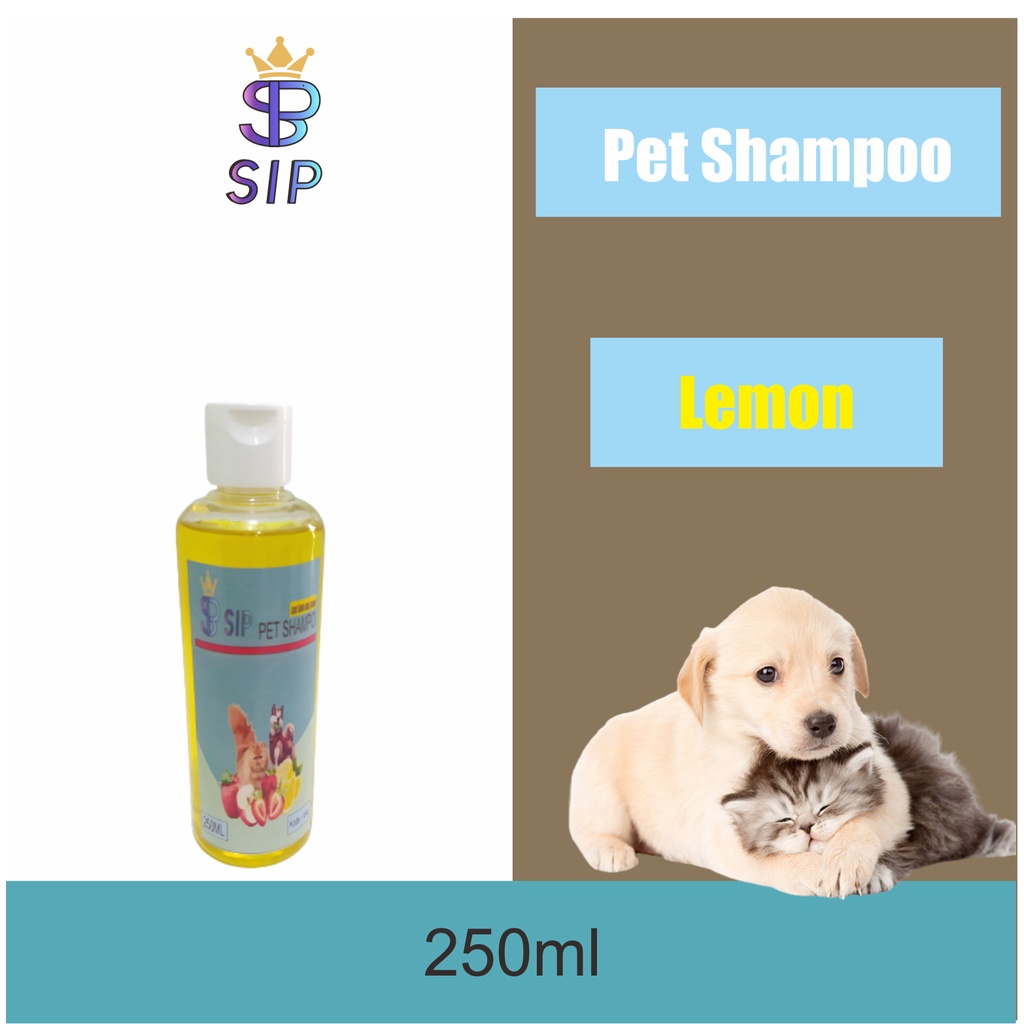 PAKET GROOMING HEWAN MANDI KUCING ANJING / SIKAT KARET MANDI PIJAT BULU KUCING / Perlengkapan Mandi Kucing Hair Dryer + Handuk Microfiber + Shampoo