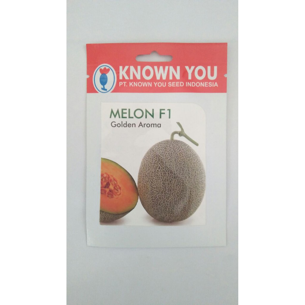 Benih Melon Golden Aroma