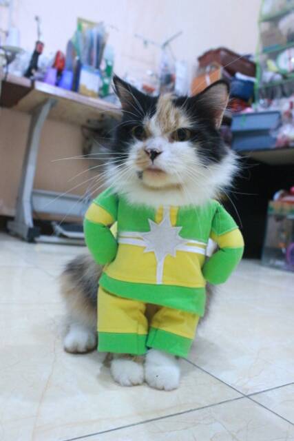 Kostum kapten marvel another untuk kucing dan anjing / baju kucing murah size S M L XL