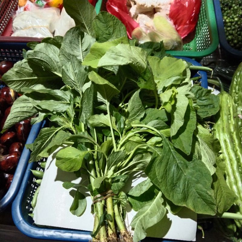 

sayur bayem