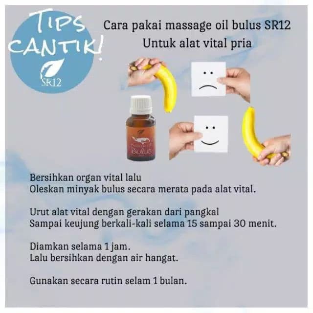 Massage Oil Bulus SR12 / Minyak Bulus SR12 / Minyak Bulus Original 100%