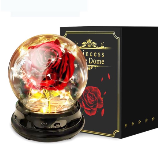 [ORGM] *CUSTOM tulisan* Pajangan Lampu Princess Rose Dome Forever Bloom Kado Valentine Hari Ibu