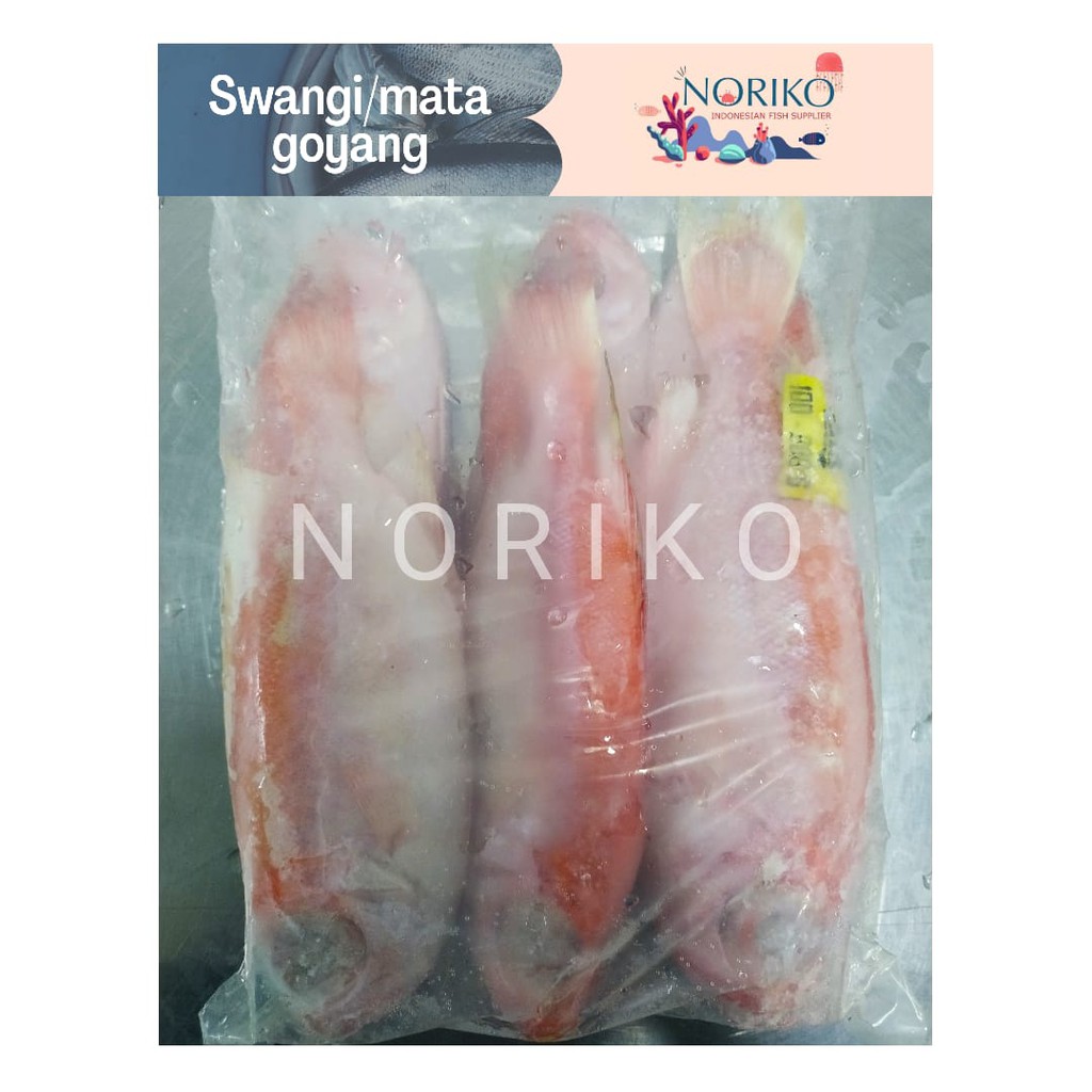 

Ikan Swangi Frozen Premium 1.5 Kg