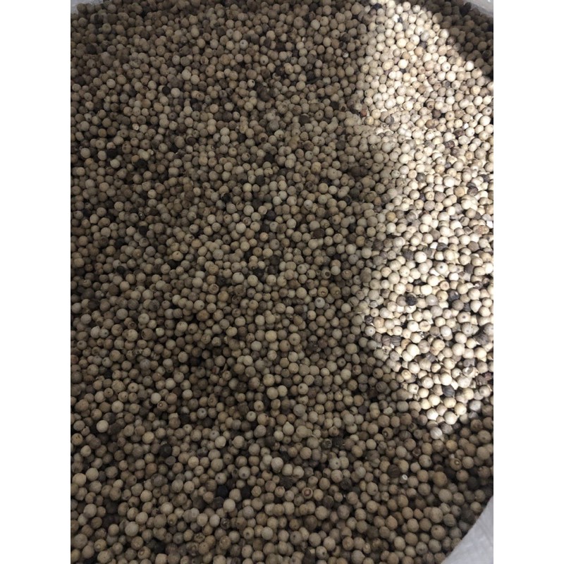 

Lada Biji 250 gram