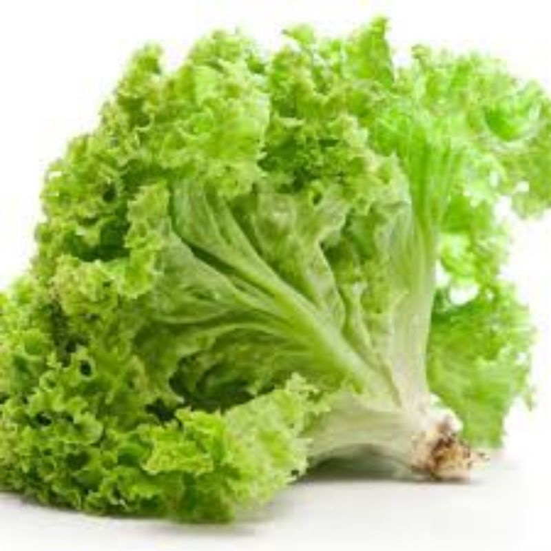 

SELADA
