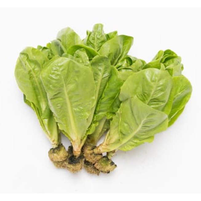 

Baby Romaine Hydroponic Sayur Romen Segar Fitbowel 250 gram