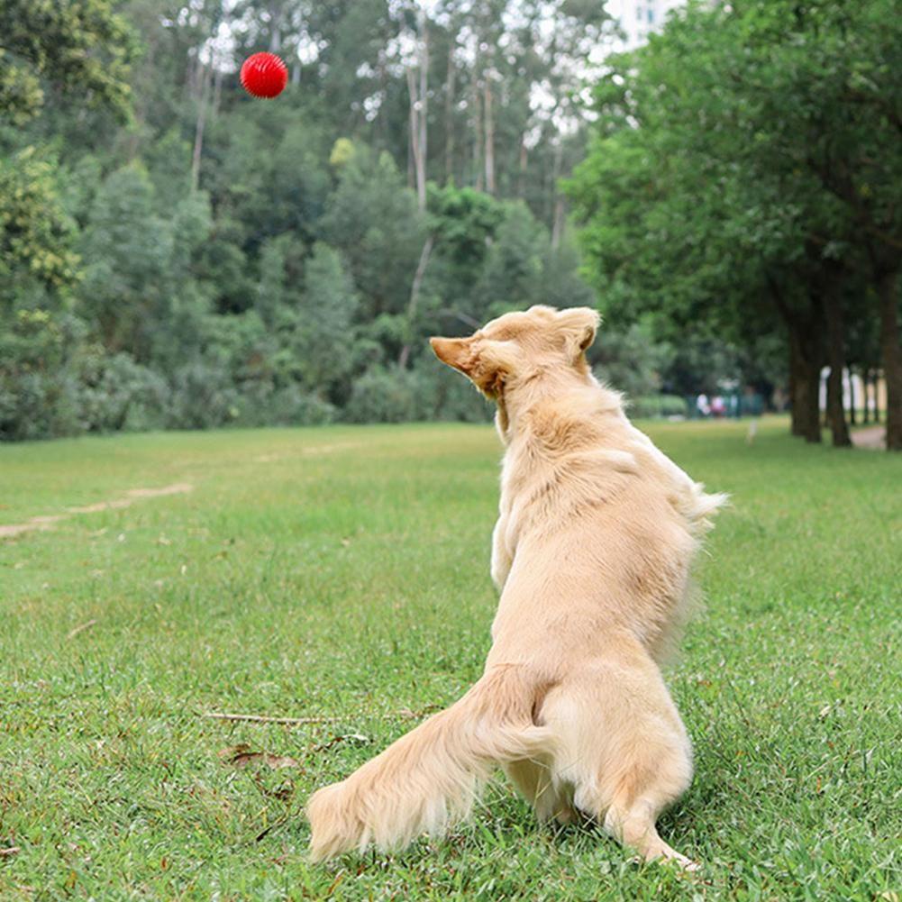 Rebuy Spikey Balls Tidak Beracun Mencicit Puppy Mengunyah Mainan Hewan Peliharaan Anjing Mainan Agresif Mengunyah Bola Landak