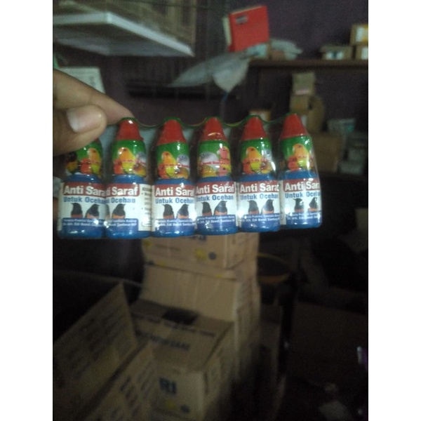 anti saraf burung obat saraf burung ocehan