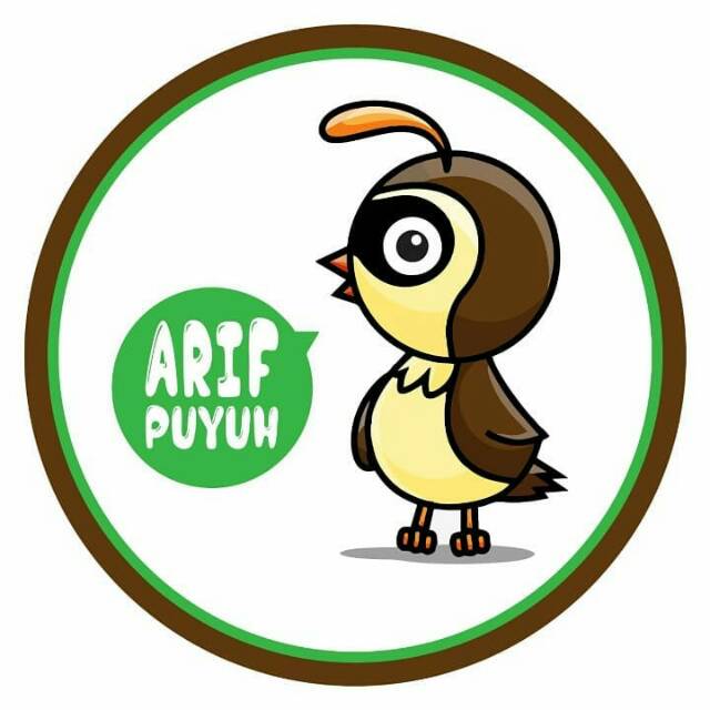 44 Gambar Burung Puyuh Kartun HD