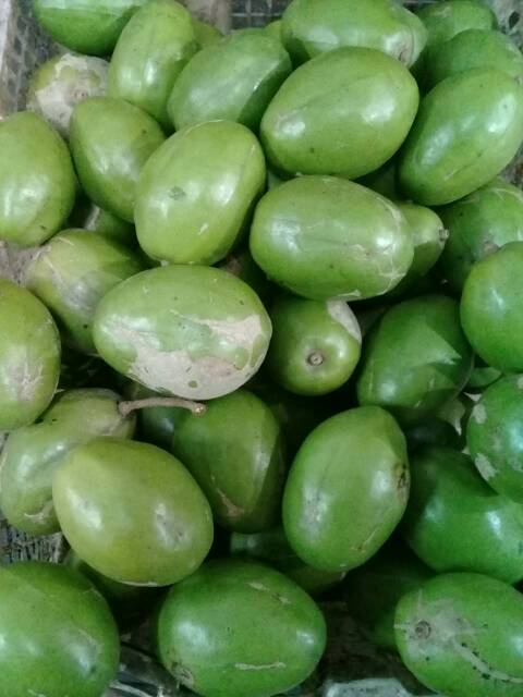 

Buah kedongdong / kedongdong rujak segar 1 kg
