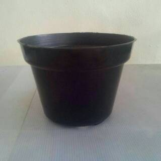  Pot  Plastik  Pot  Tanaman Pot  Murah  Shopee  Indonesia