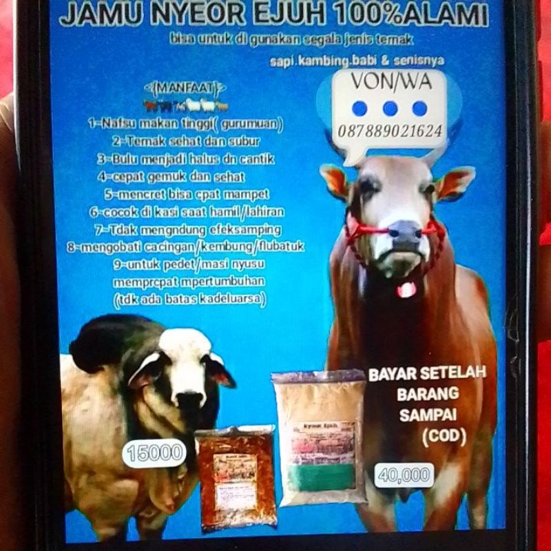 

jamu sapi dan kambing