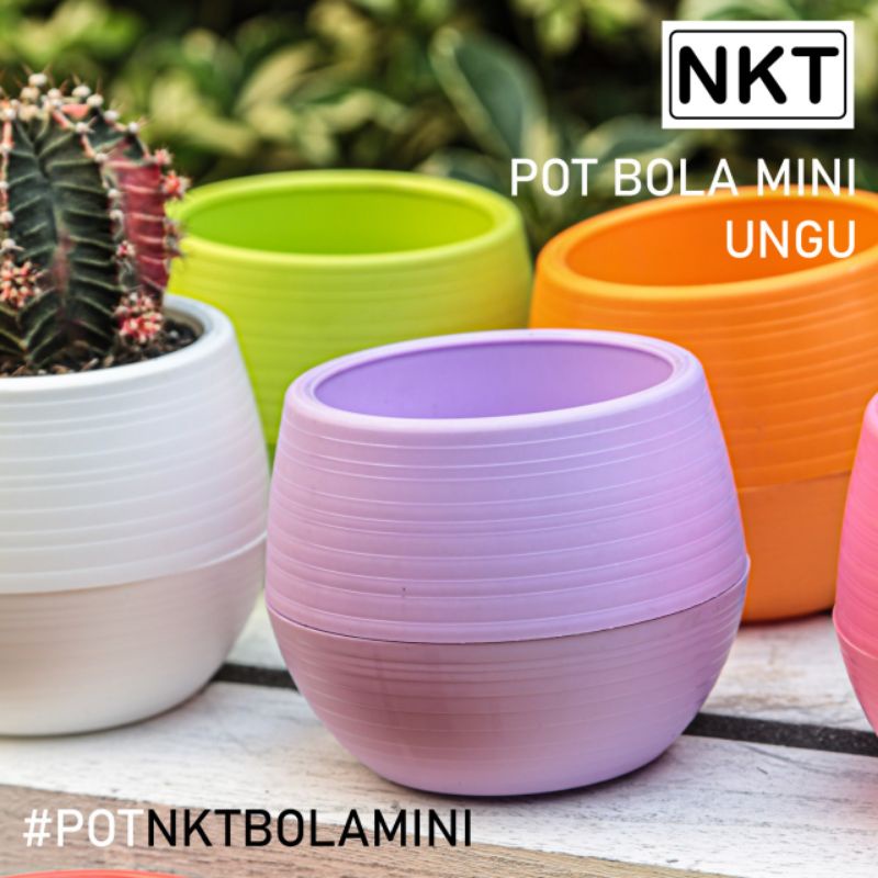 Pot Bola 10 mini | pot cactus | pot sucullent | pot cactus mini