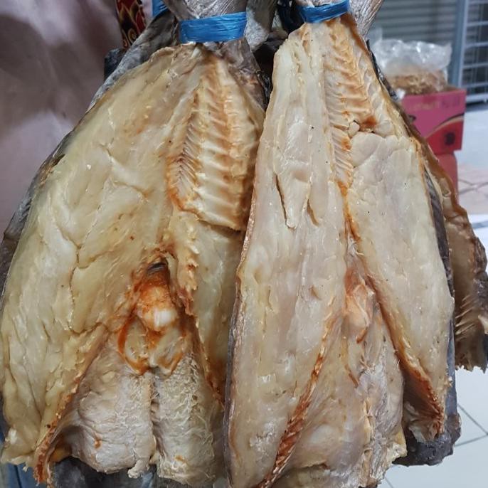 

Pasti Ready Jambal Roti Ekor Super (Terlaris)