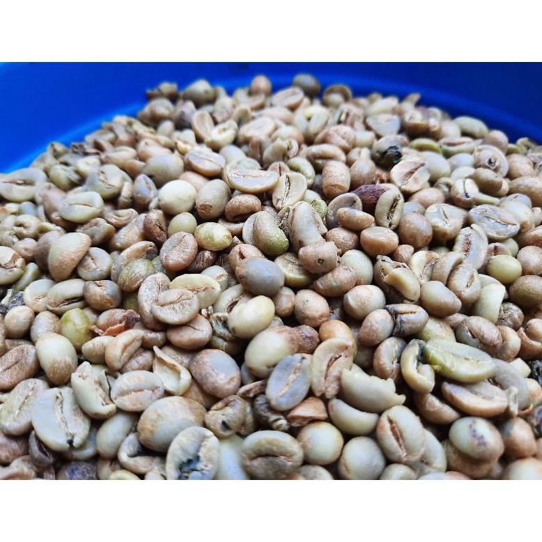 Green Bean / Biji Kopi Mentah Robusta Lahat SUMSEL 1kg 1 kg