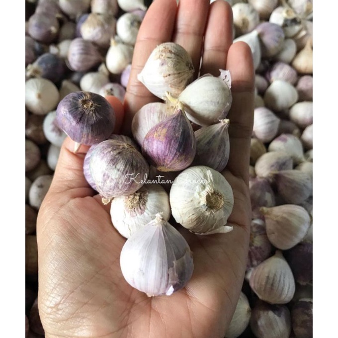

BAWANG LANANG/BAWANG PUTIH TUNGGAL 100 GR