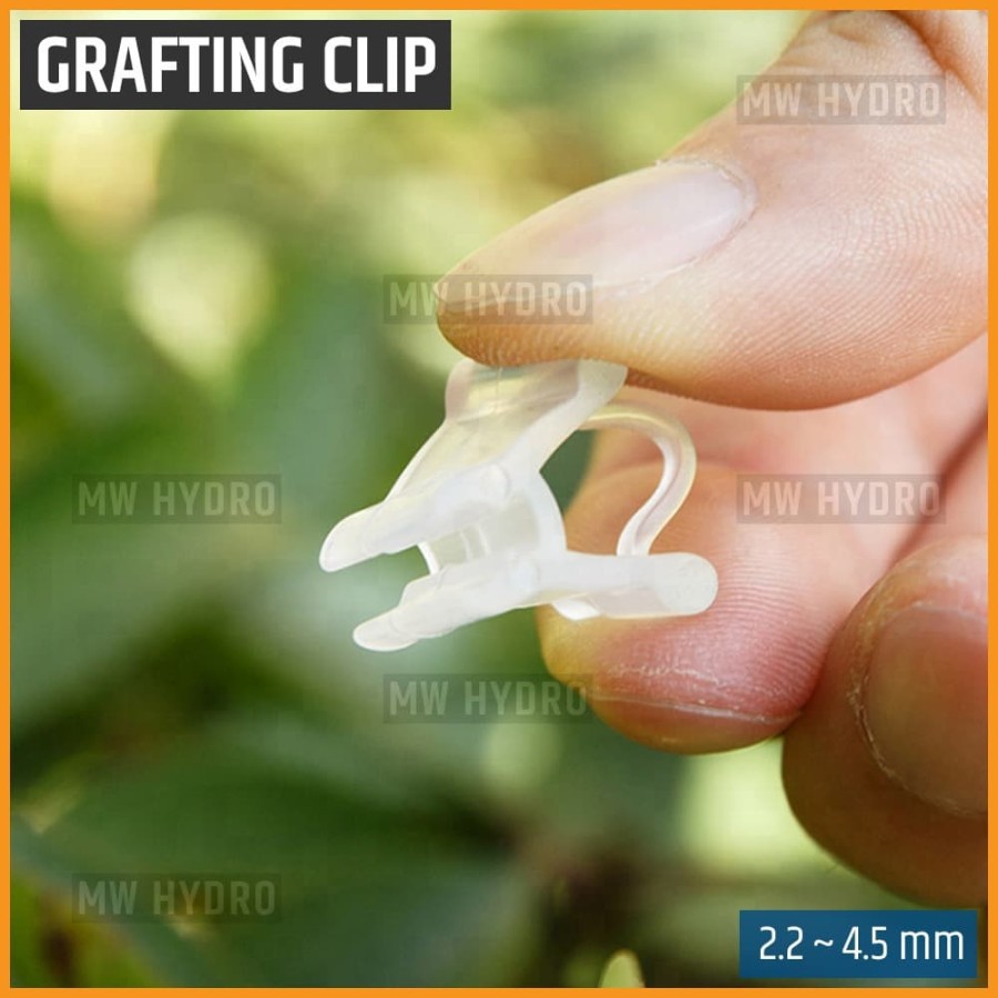 Grafting Clip - Klip Okulasi / Sambung Pucuk