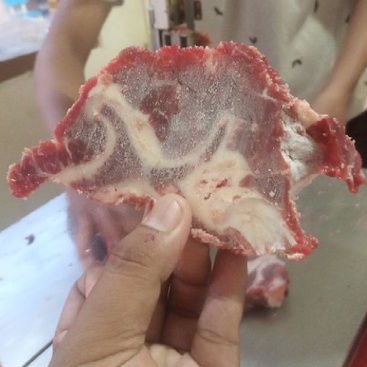 

iga gondrong (neckbone)