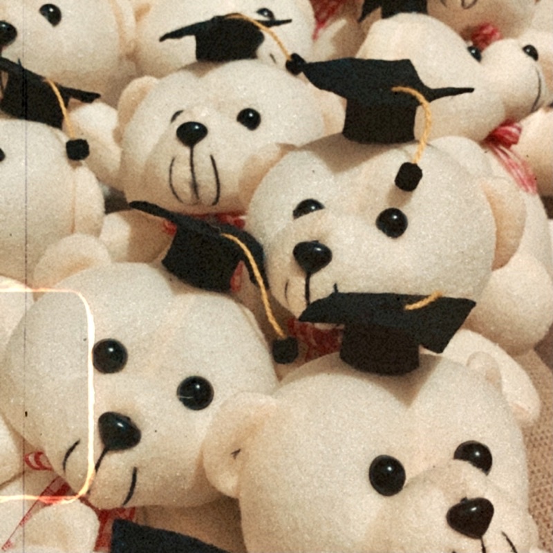 

(HANYA TOGA) TAMBAHAN TOGA UNTUK BONEKA HAMPERS GRADUATION TOGA WISUDA TOGA BONEKA