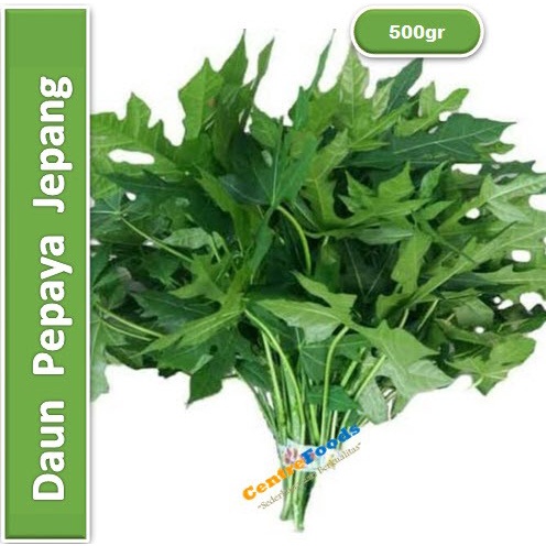 

Daun Pepaya Jepang Fresh - Jabar | 500gr [ Harga Per 0,5 Kg ]