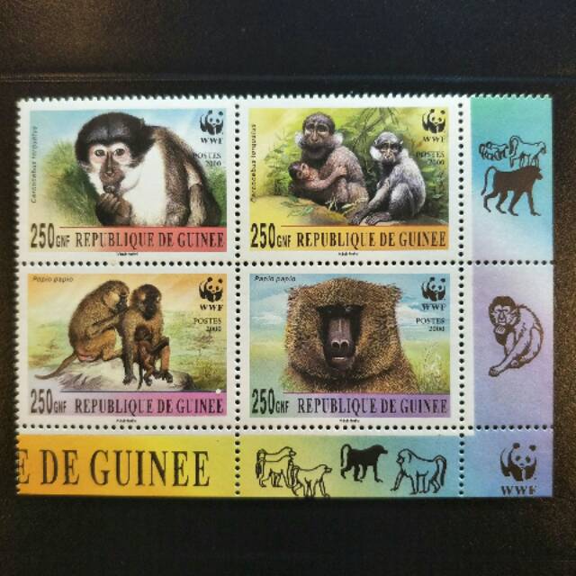 

Perangko Monyet Republik Guinea - 2000 - Prangko Koleksi